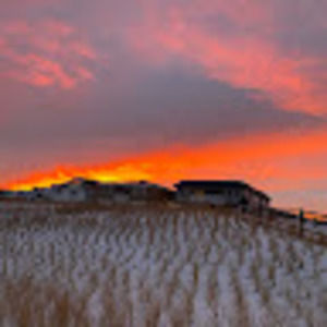 Meet your Posher, Vincent